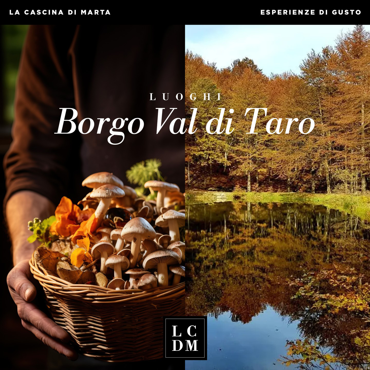 Borgo Val di Taro and its PGI porcino mushroo