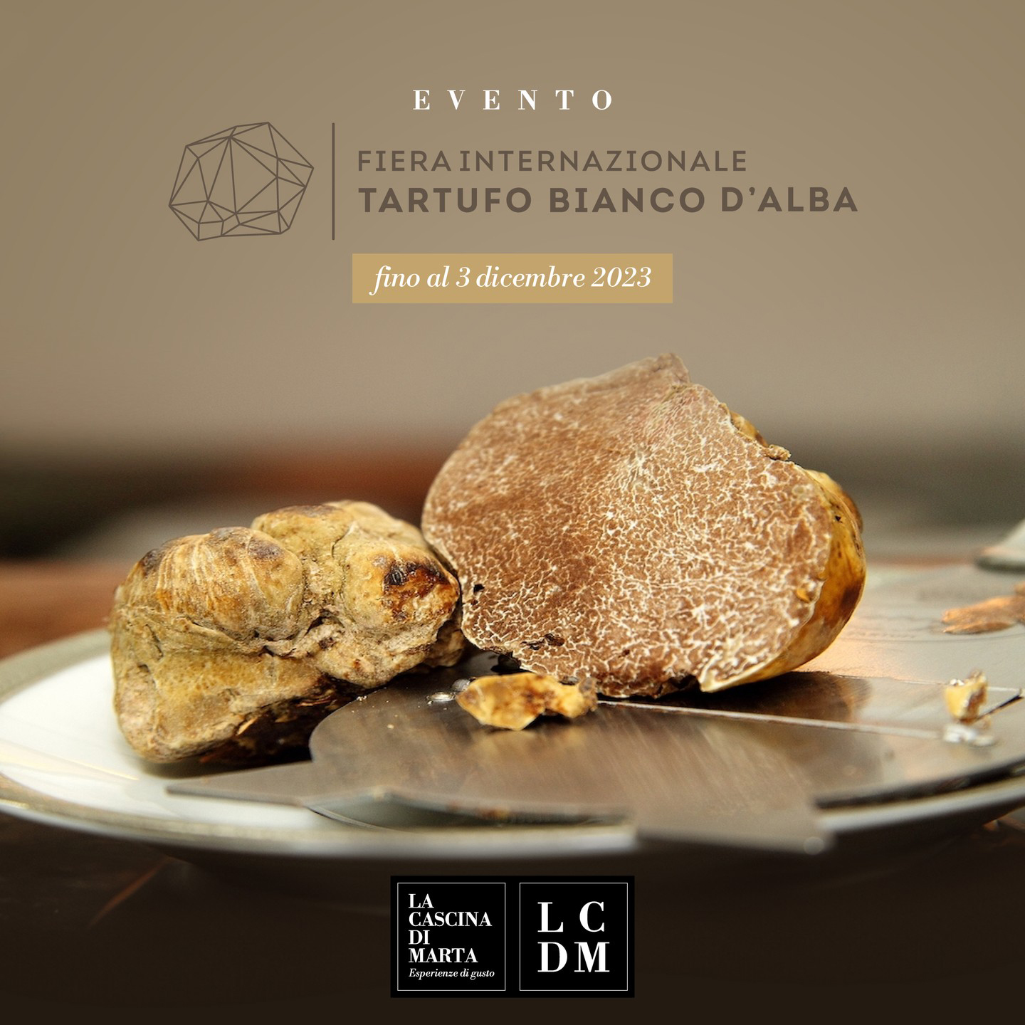 The Alba white truffle fair: an unmissable event for taste lovers.