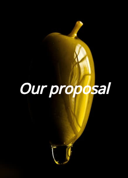 our proposal